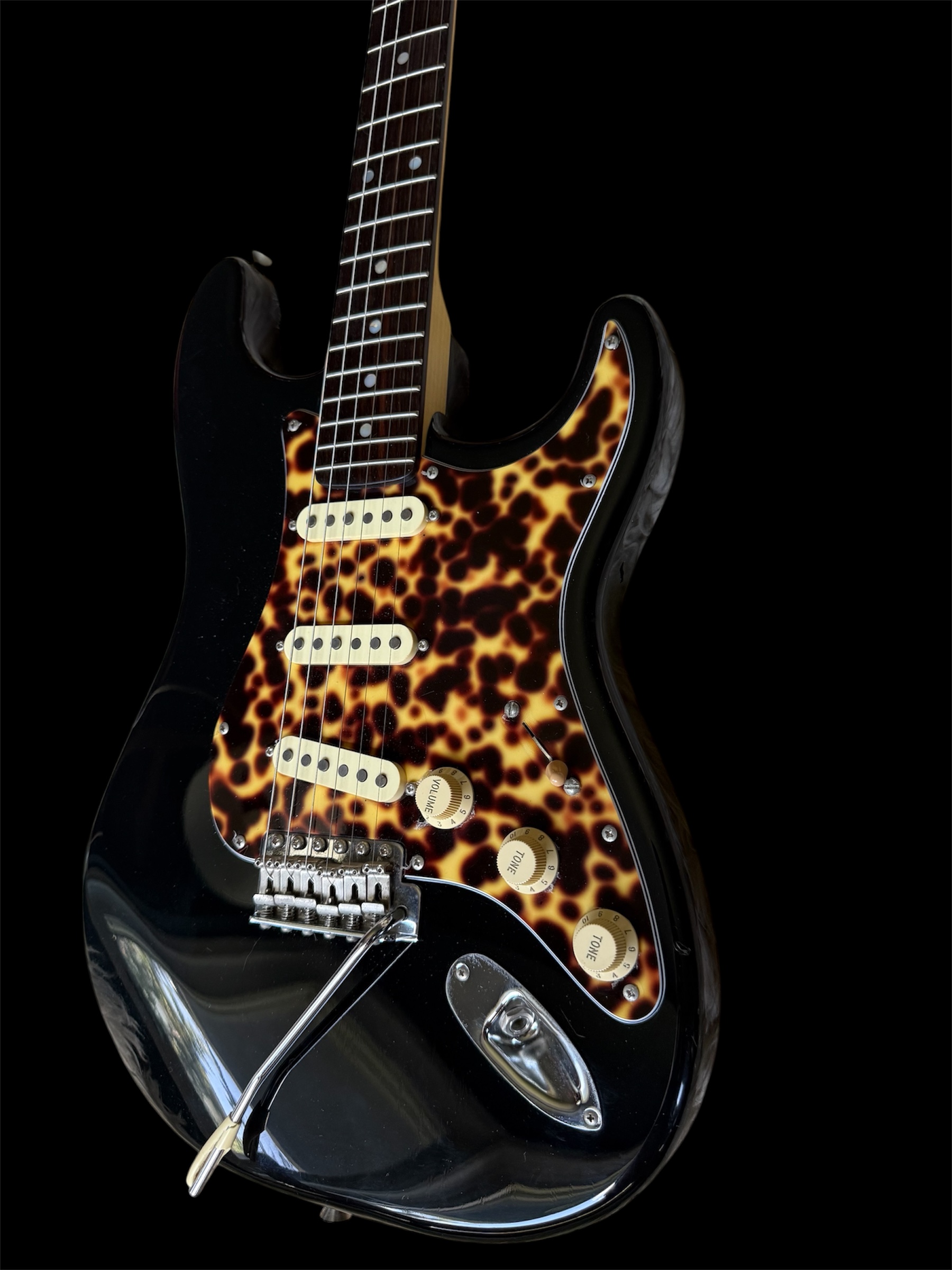 Mushroom Stratocaster by Mr. Shino