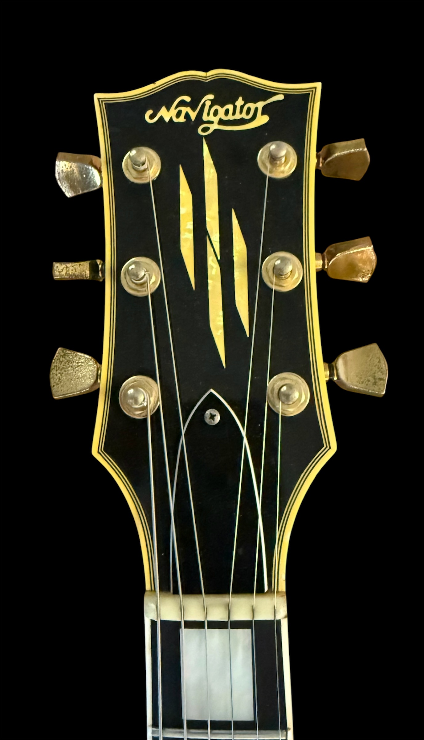 2004 Navigator N-LP-320 CTM Black Beauty back